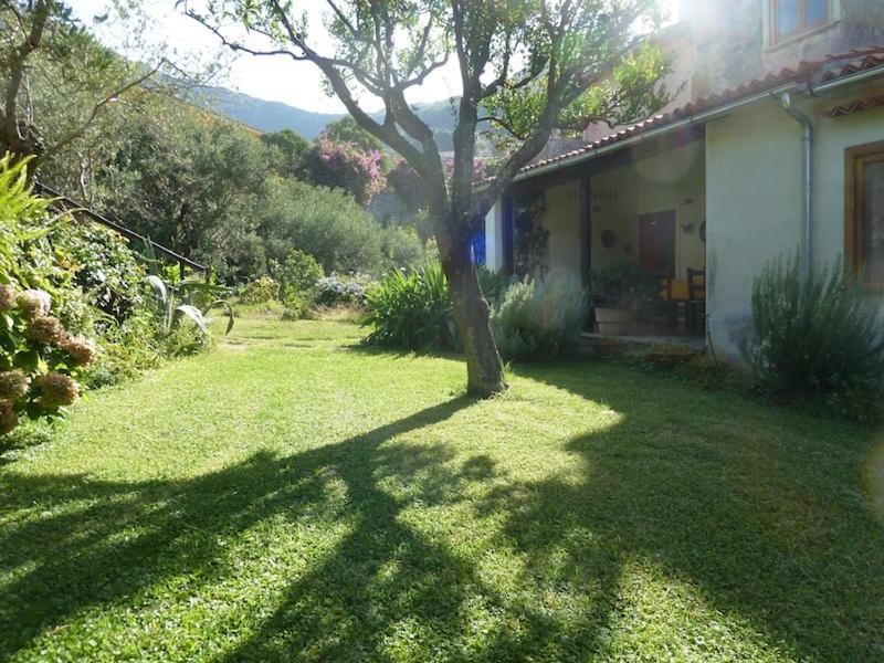 Casa Puccini B&B Maratea Extérieur photo